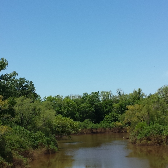 Meet your Posher, Pat - Picture 4 of 5